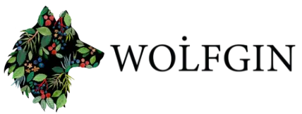 WOLFGIN Logo